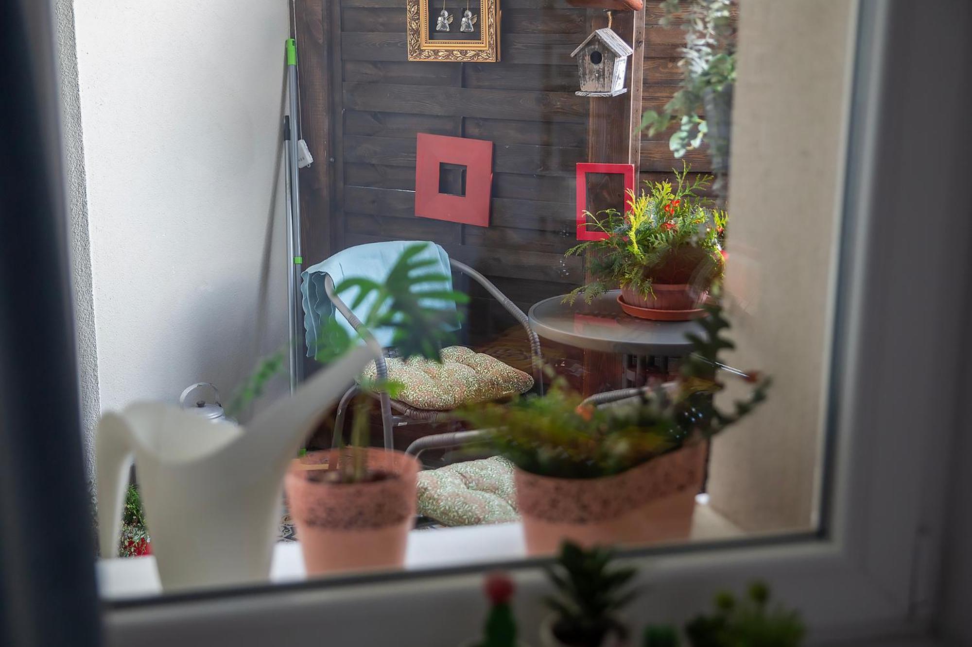 Apartament U Olechny 4 Bydgoszcz Ngoại thất bức ảnh